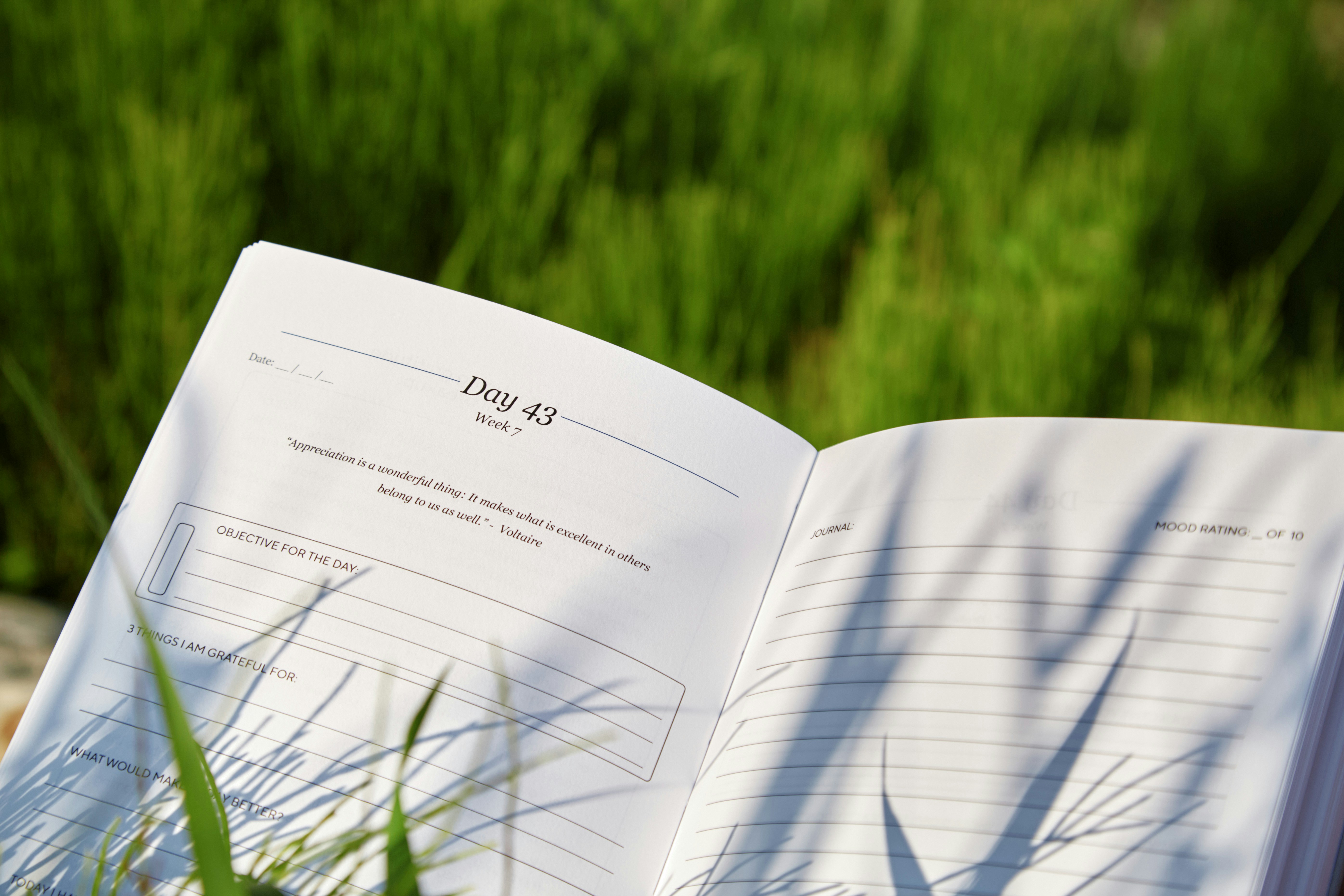 Carnet de terrain et mesures suivies dans le temps